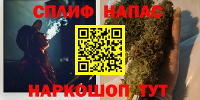 МДПВ Будённовск